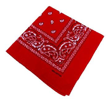 Bandana-Red Paisley